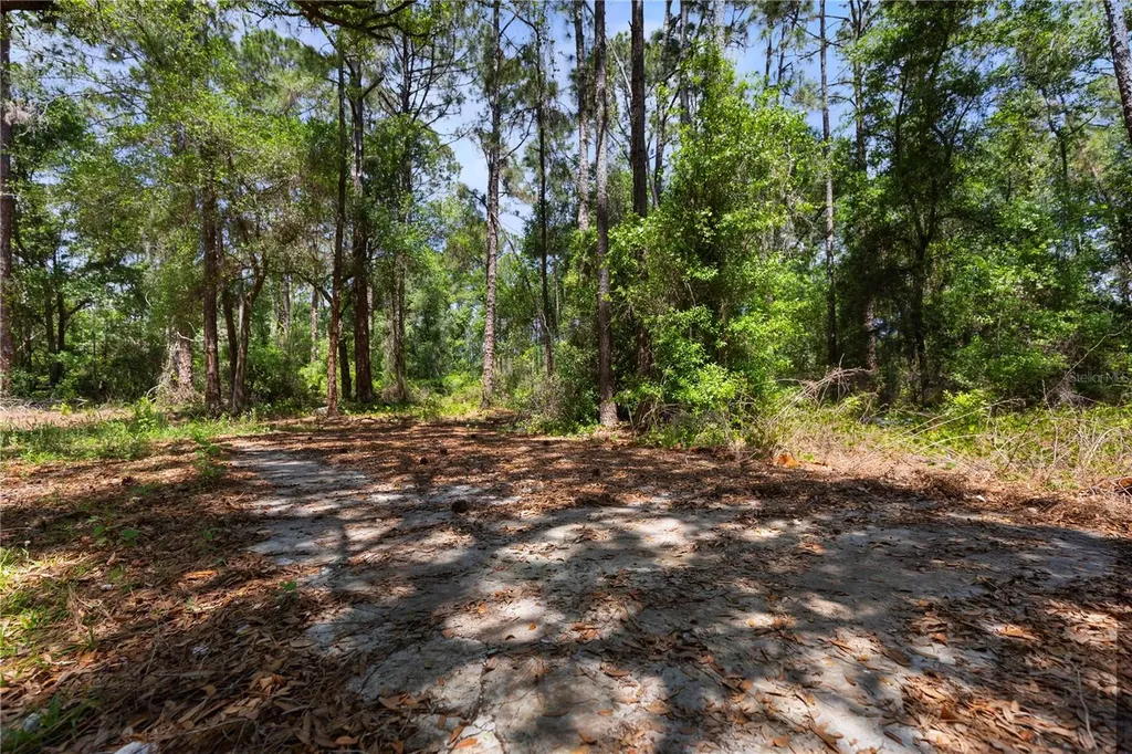 9121 Florida Boys Ranch Road Clermont FL 34711