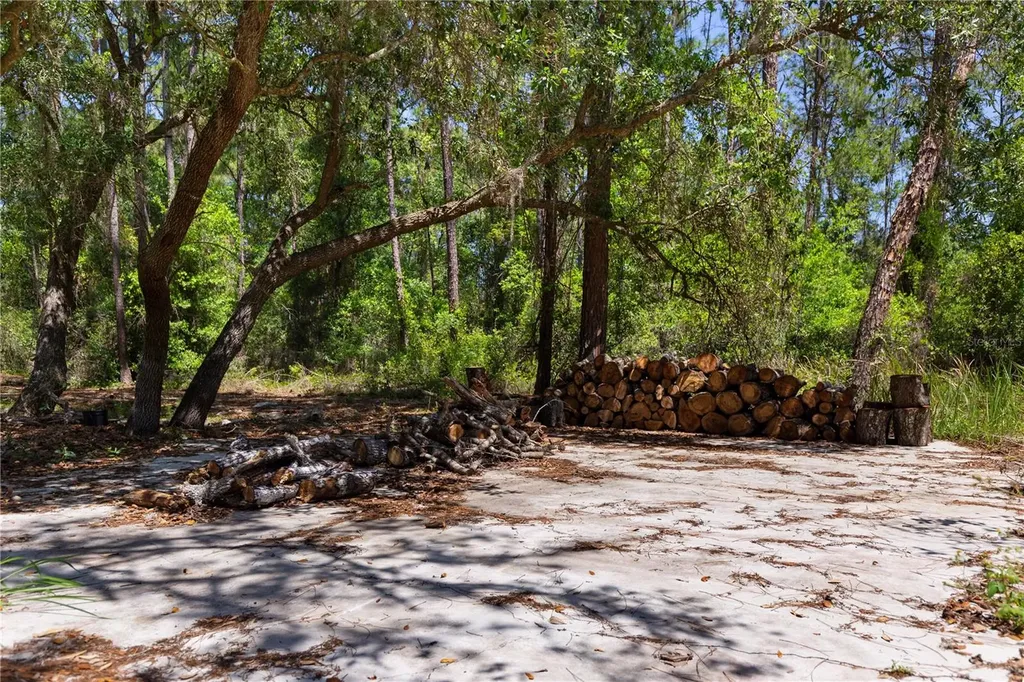9121 Florida Boys Ranch Road Clermont FL 34711