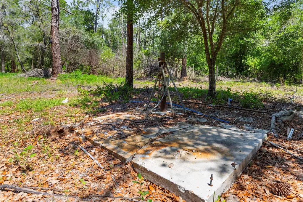 9121 Florida Boys Ranch Road Clermont FL 34711
