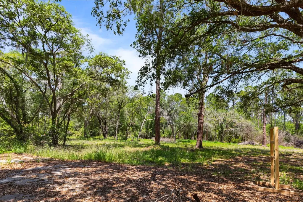 9121 Florida Boys Ranch Road Clermont FL 34711