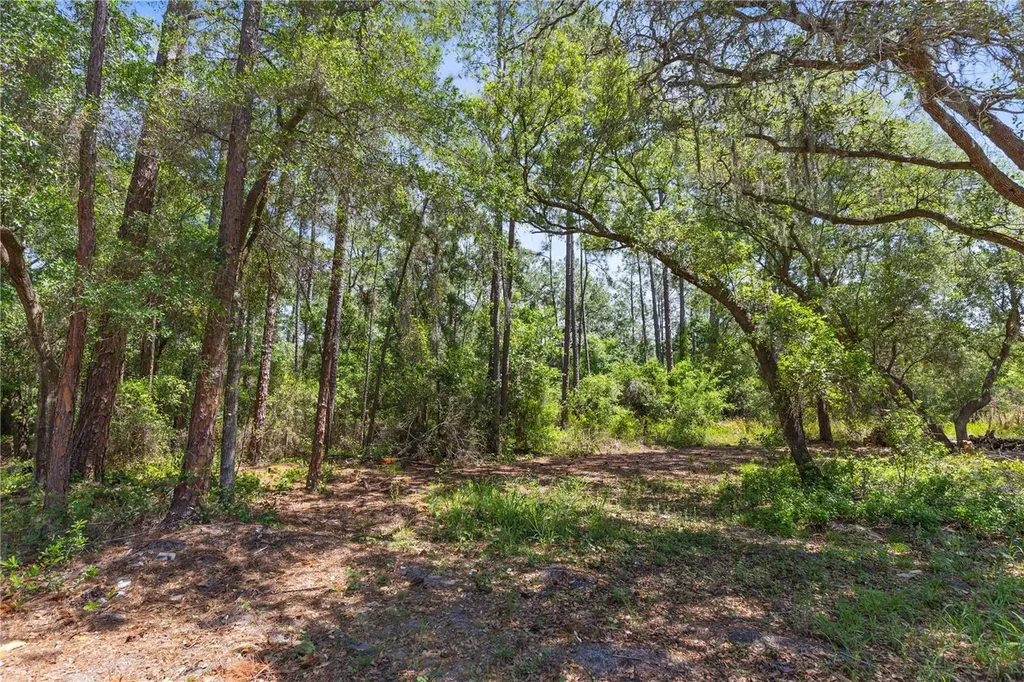 9121 Florida Boys Ranch Road Clermont FL 34711