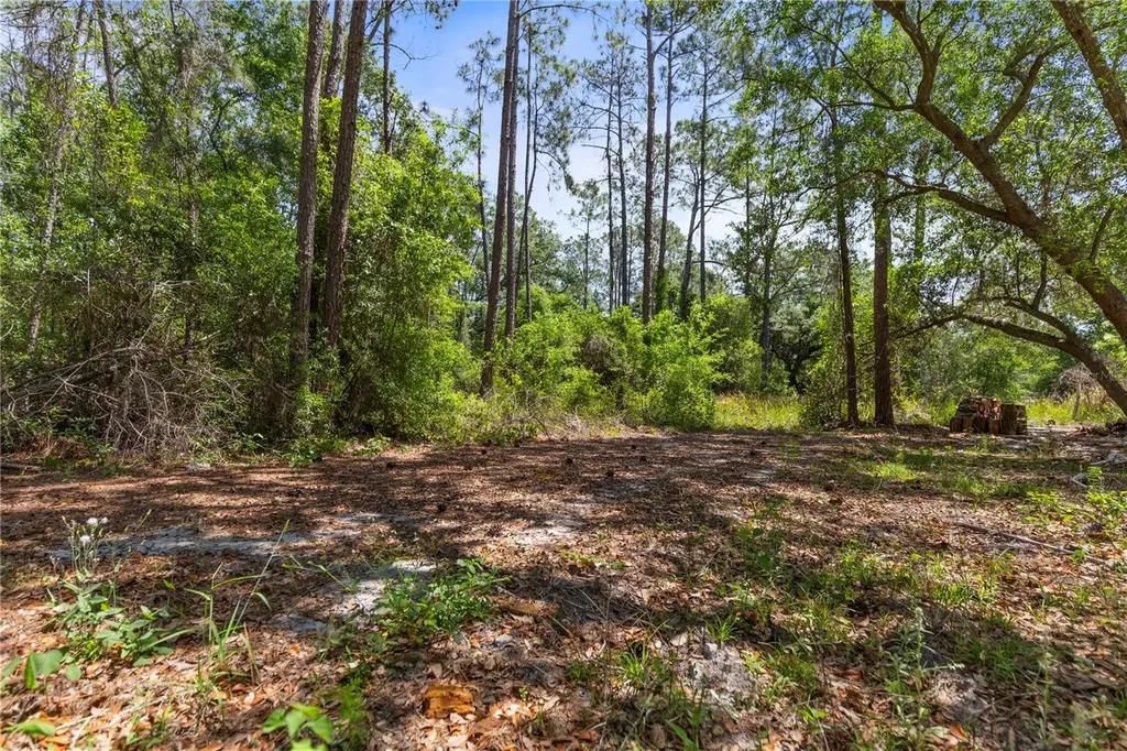 9121 Florida Boys Ranch Road Clermont FL 34711