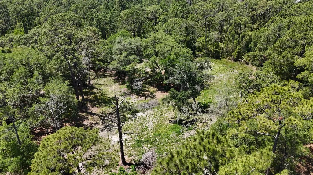 9121 Florida Boys Ranch Road Clermont FL 34711