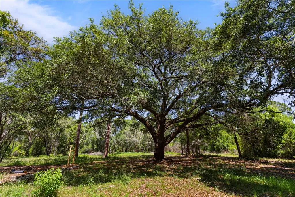9121 Florida Boys Ranch Road Clermont FL 34711