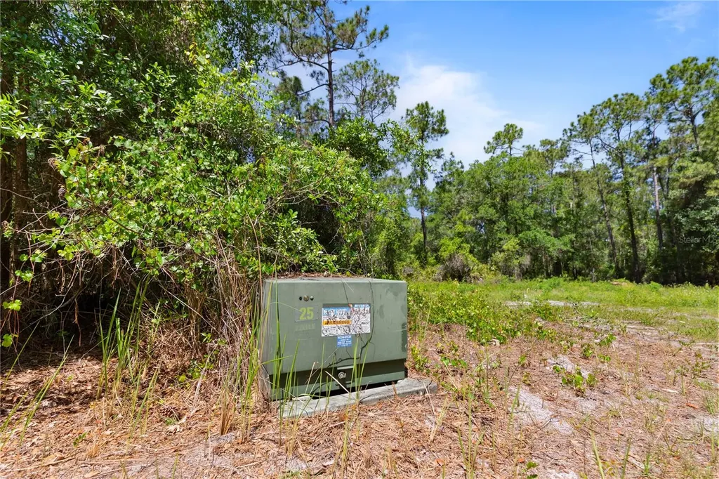 9121 Florida Boys Ranch Road Clermont FL 34711