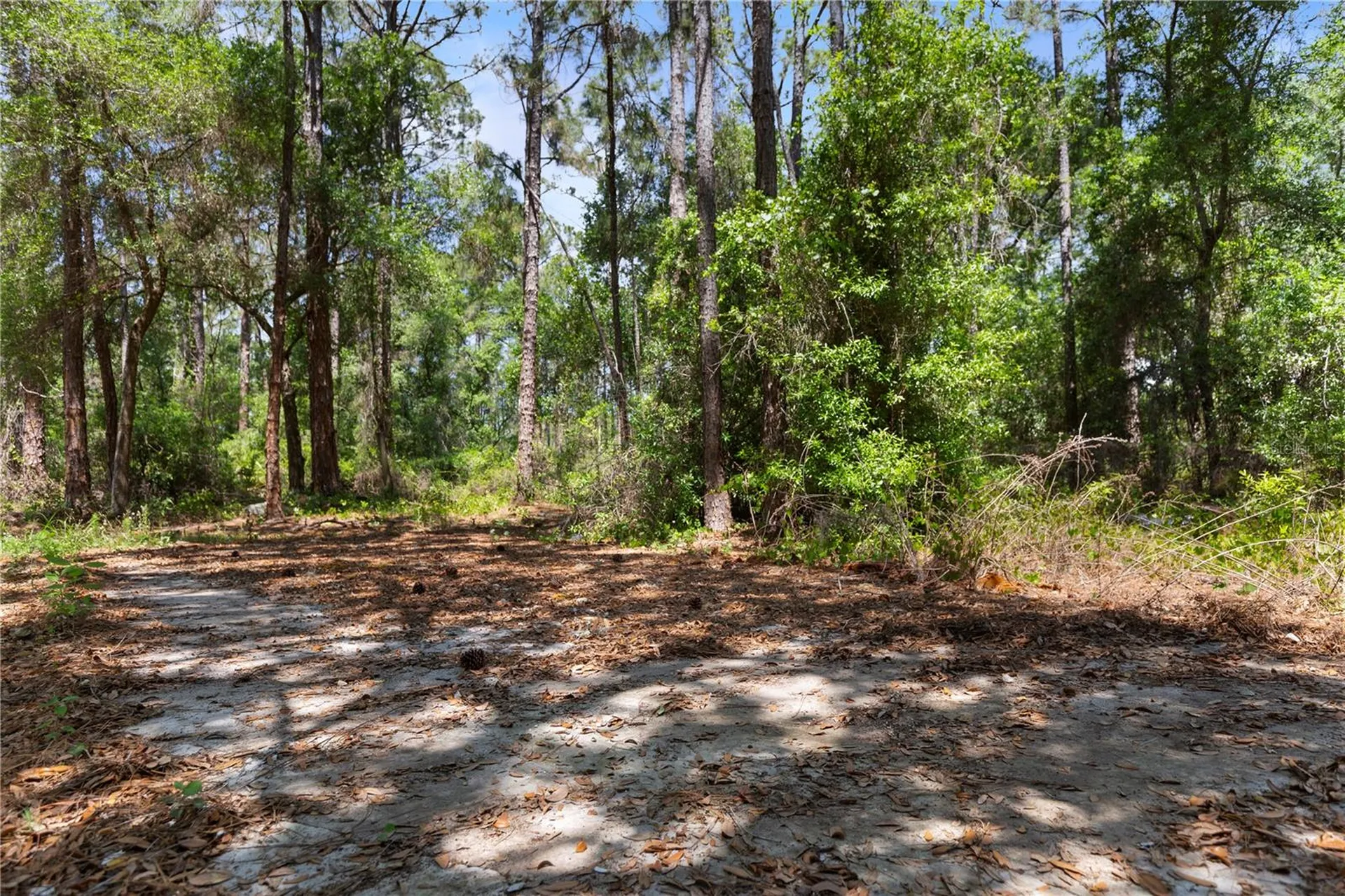 9121 Florida Boys Ranch Road Clermont FL 34711
