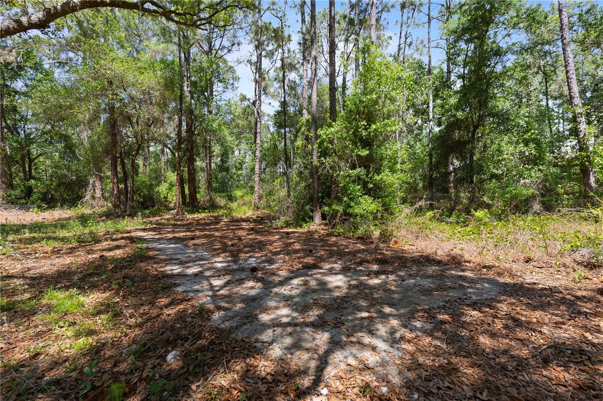 9121 Florida Boys Ranch Road Clermont FL 34711