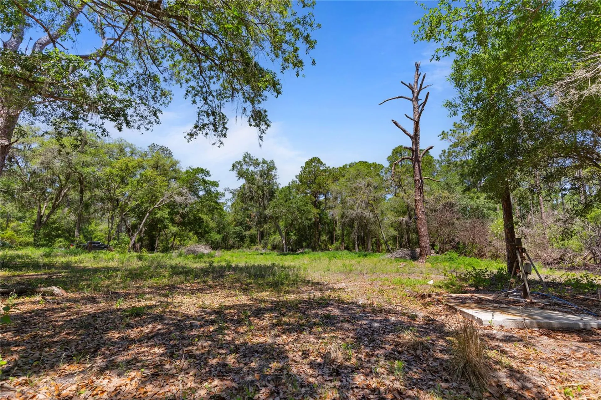 9121 Florida Boys Ranch Road Clermont FL 34711