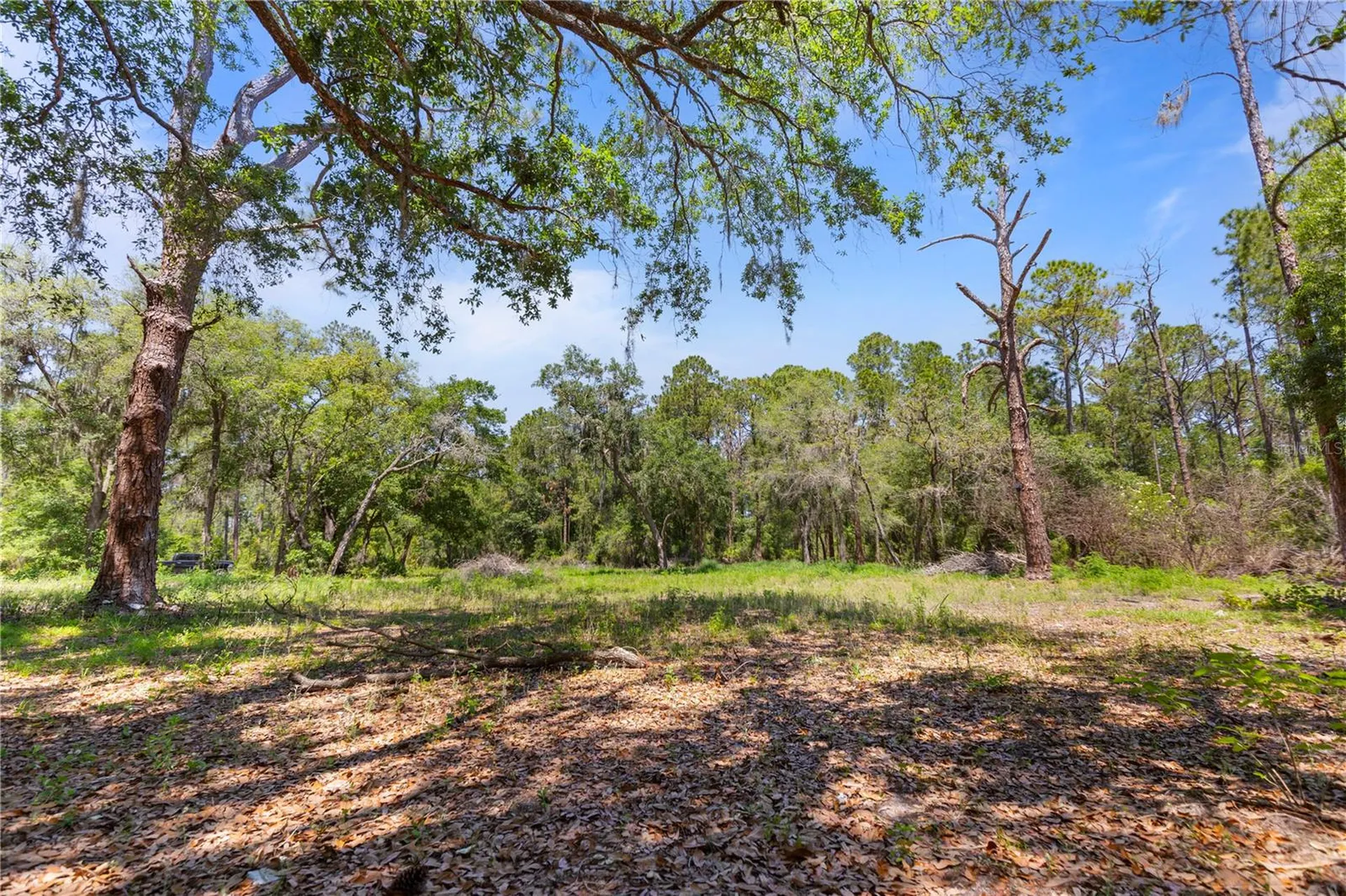 9121 Florida Boys Ranch Road Clermont FL 34711