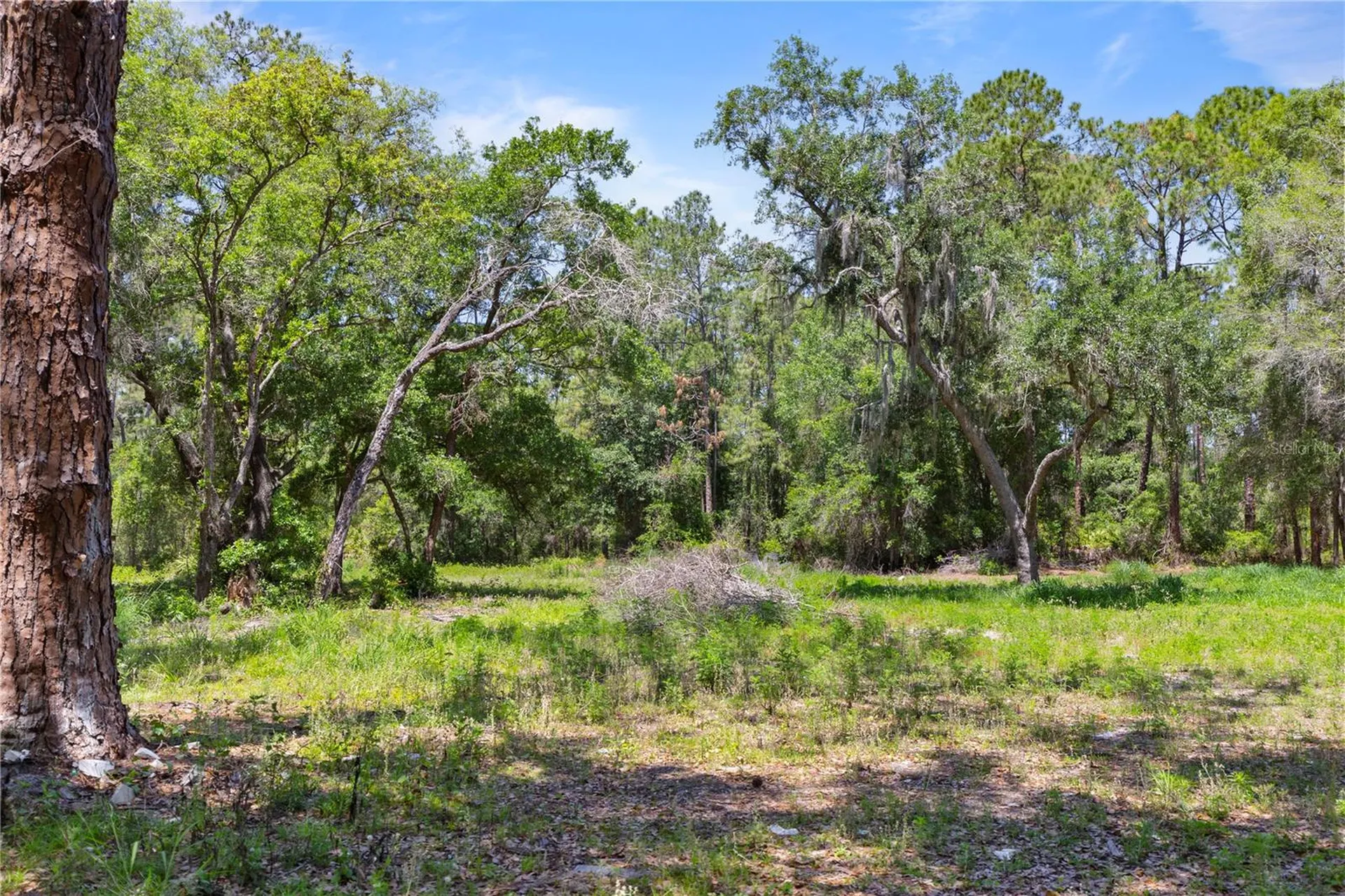 9121 Florida Boys Ranch Road Clermont FL 34711