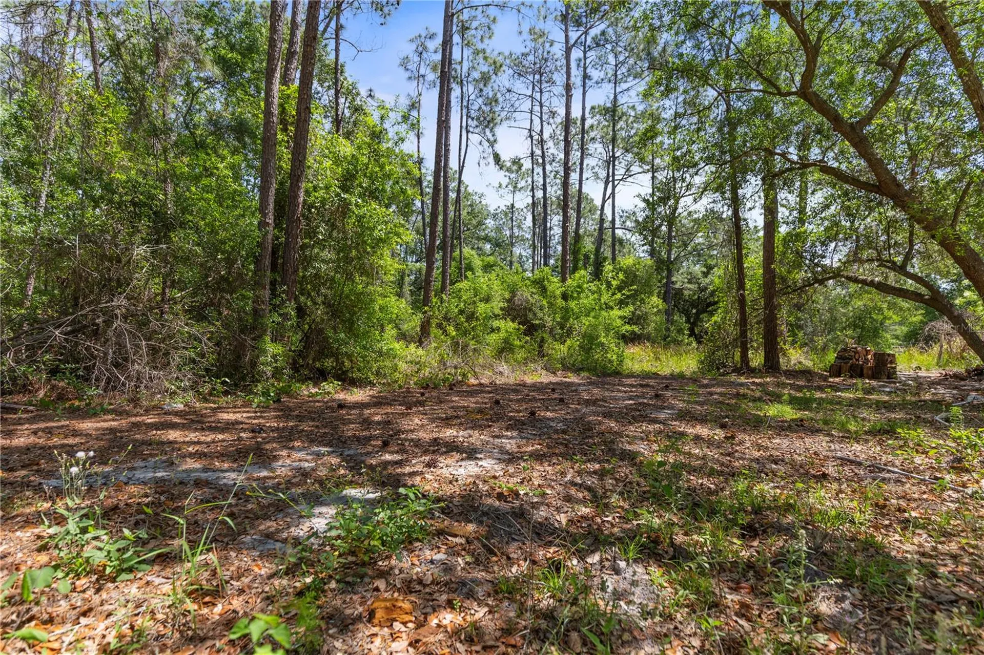 9121 Florida Boys Ranch Road Clermont FL 34711