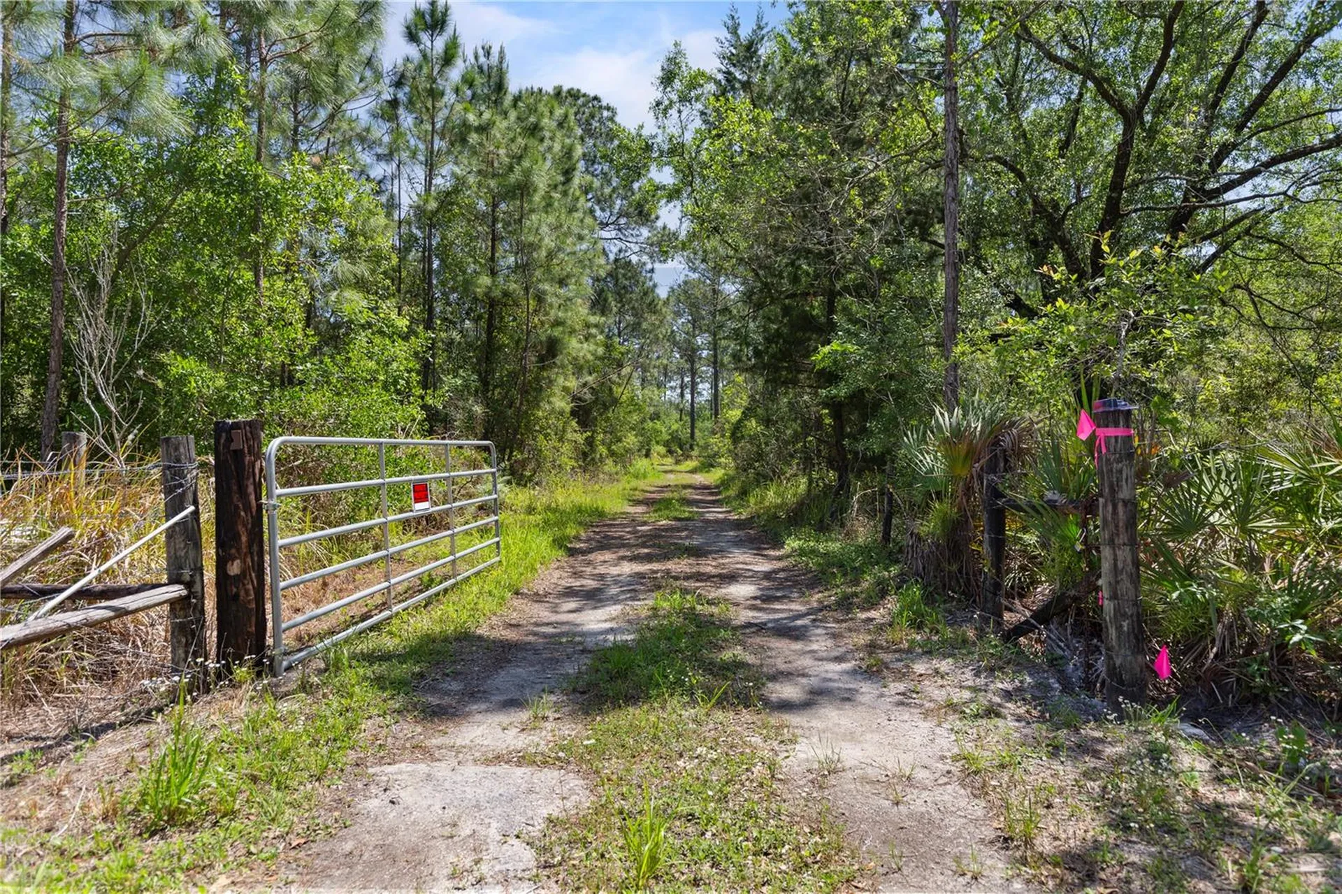 9121 Florida Boys Ranch Road Clermont FL 34711