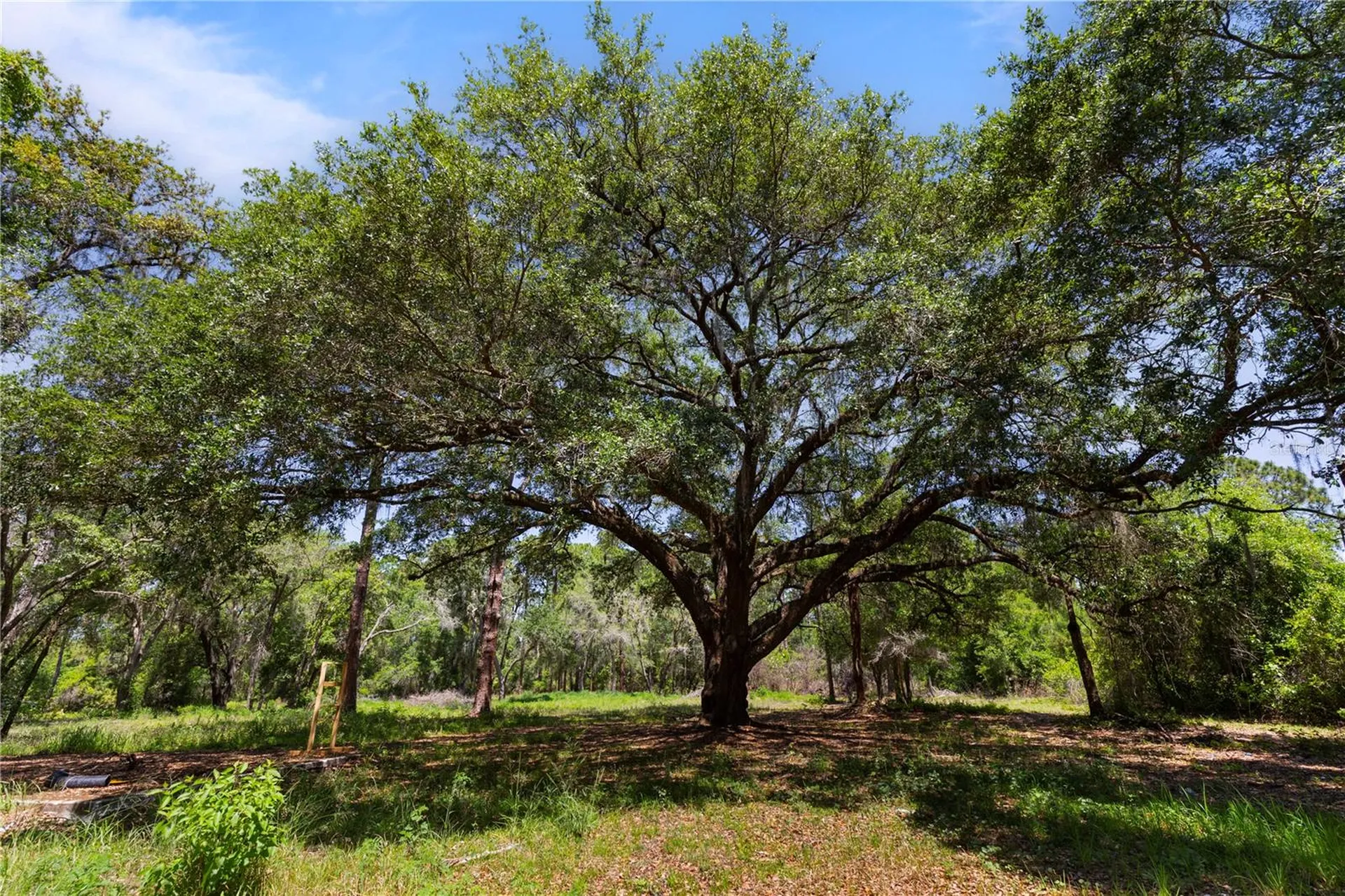 9121 Florida Boys Ranch Road Clermont FL 34711