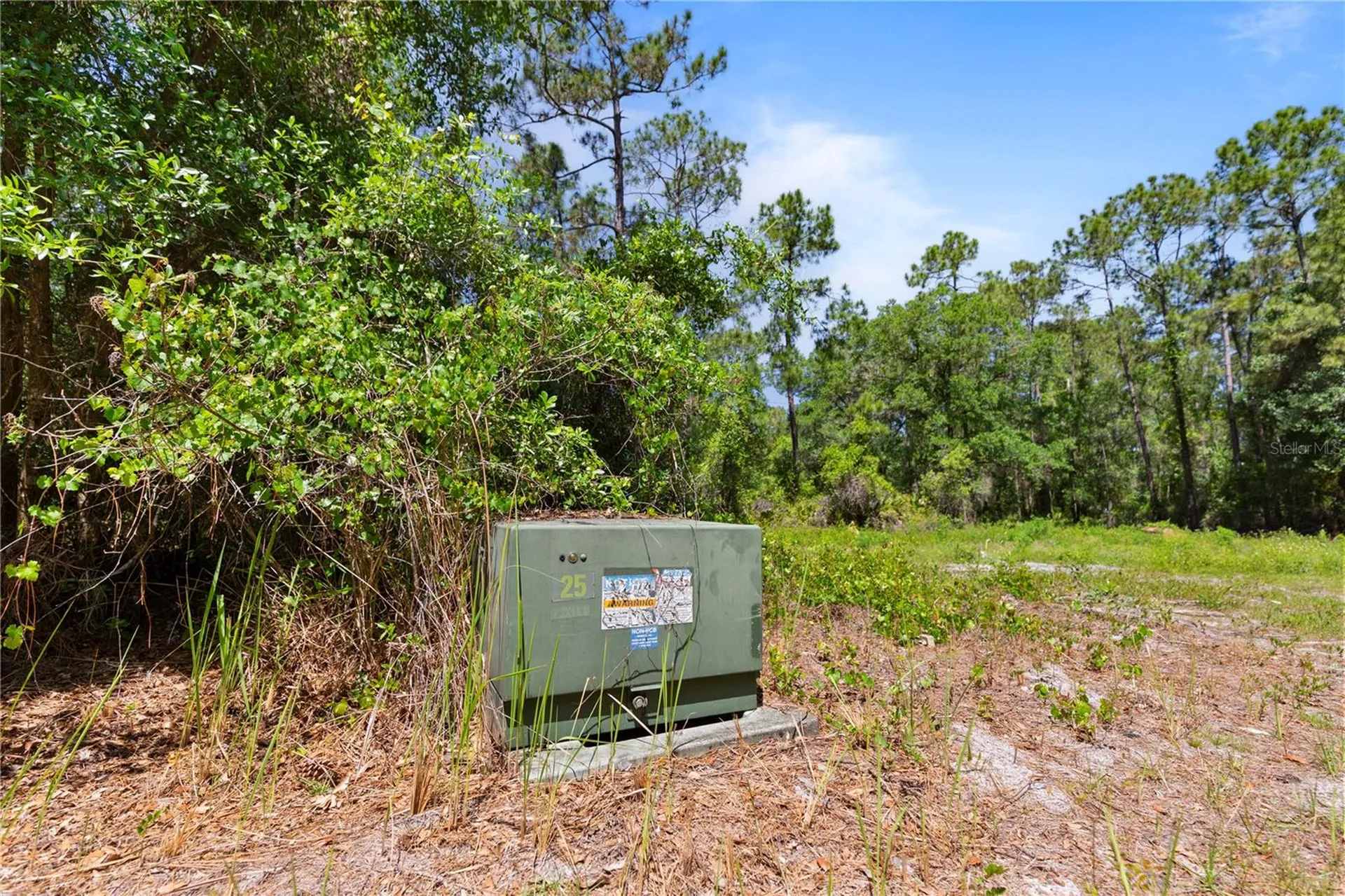 9121 Florida Boys Ranch Road Clermont FL 34711