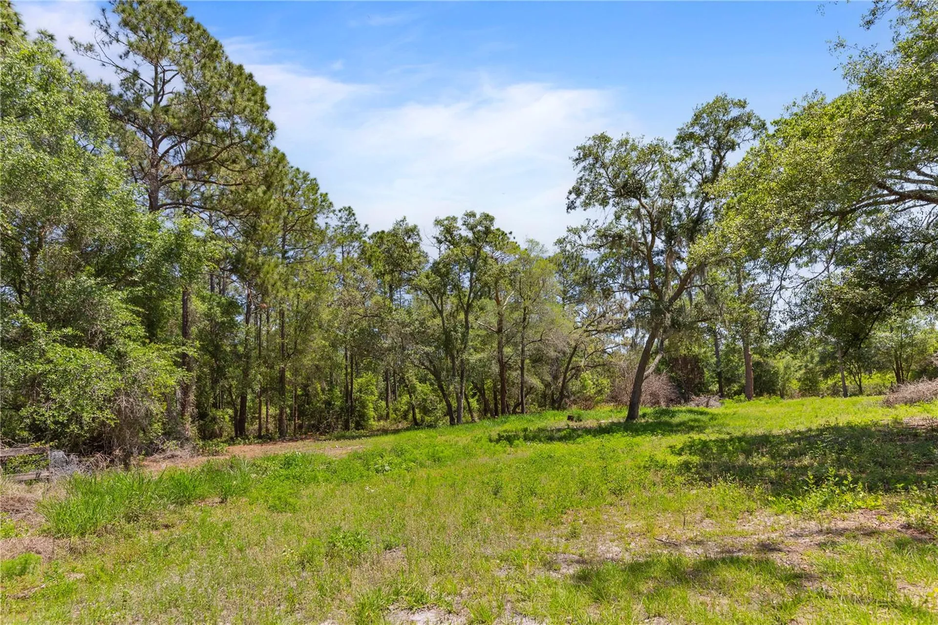 9121 Florida Boys Ranch Road Clermont FL 34711