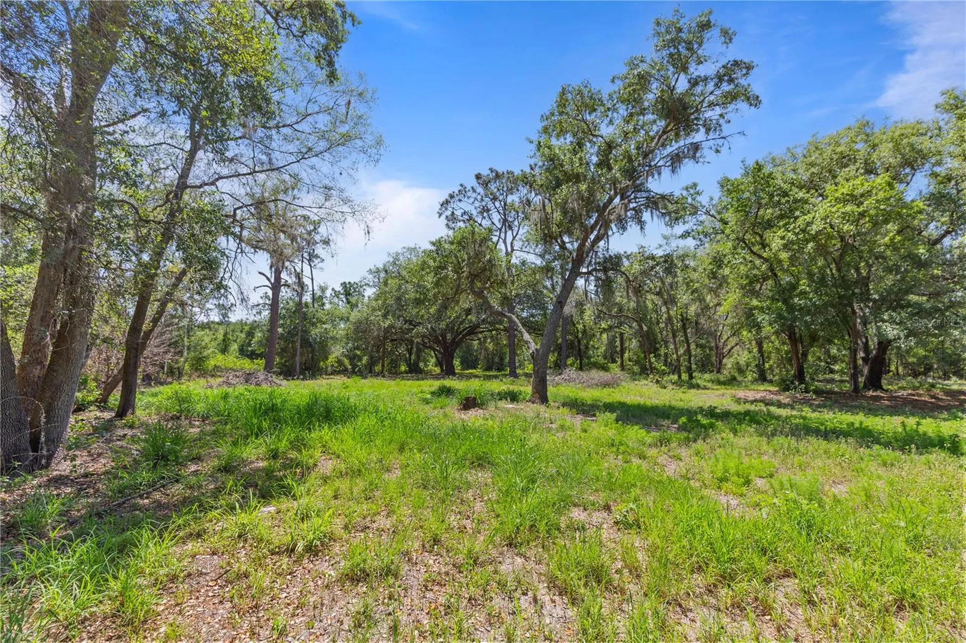 9121 Florida Boys Ranch Road Clermont FL 34711
