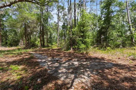 9121 Florida Boys Ranch Road Clermont FL 34711