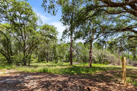 9121 Florida Boys Ranch Road Clermont FL 34711