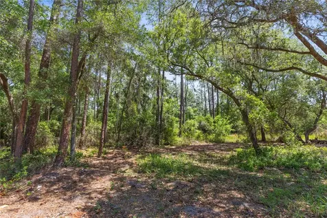 9121 Florida Boys Ranch Road Clermont FL 34711