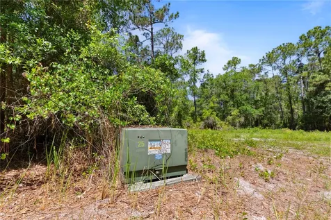 9121 Florida Boys Ranch Road Clermont FL 34711