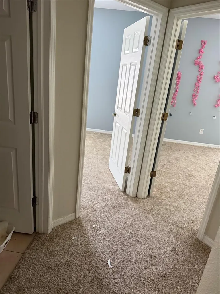 612 Marion Hill Lane Ruskin FL 33570