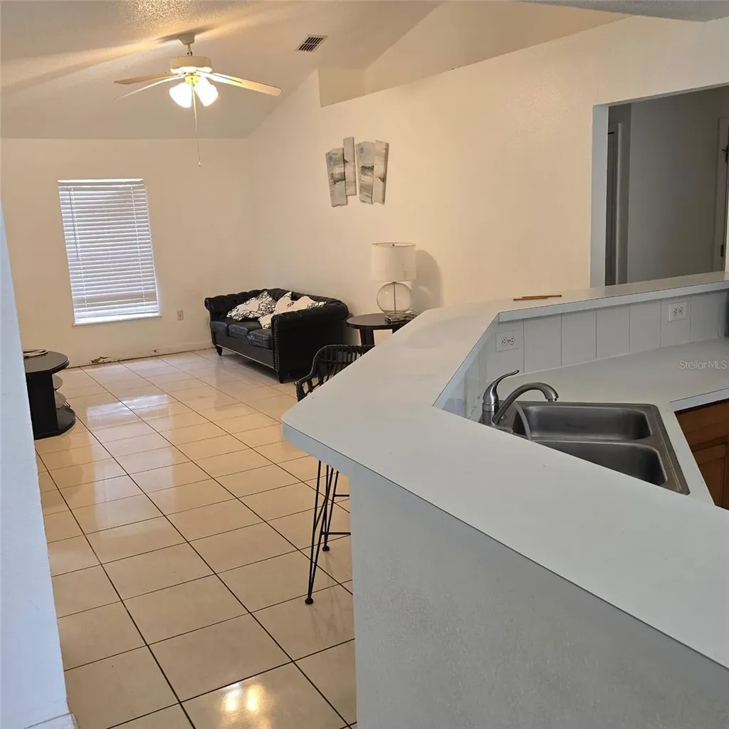 782 Mink Court Kissimmee FL 34759