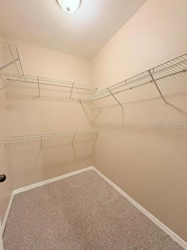 10213 Courtney Palms Boulevard Tampa FL 33619