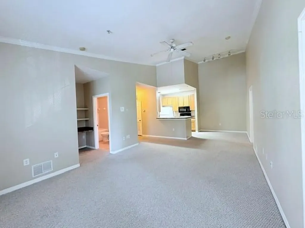 10213 Courtney Palms Boulevard Tampa FL 33619