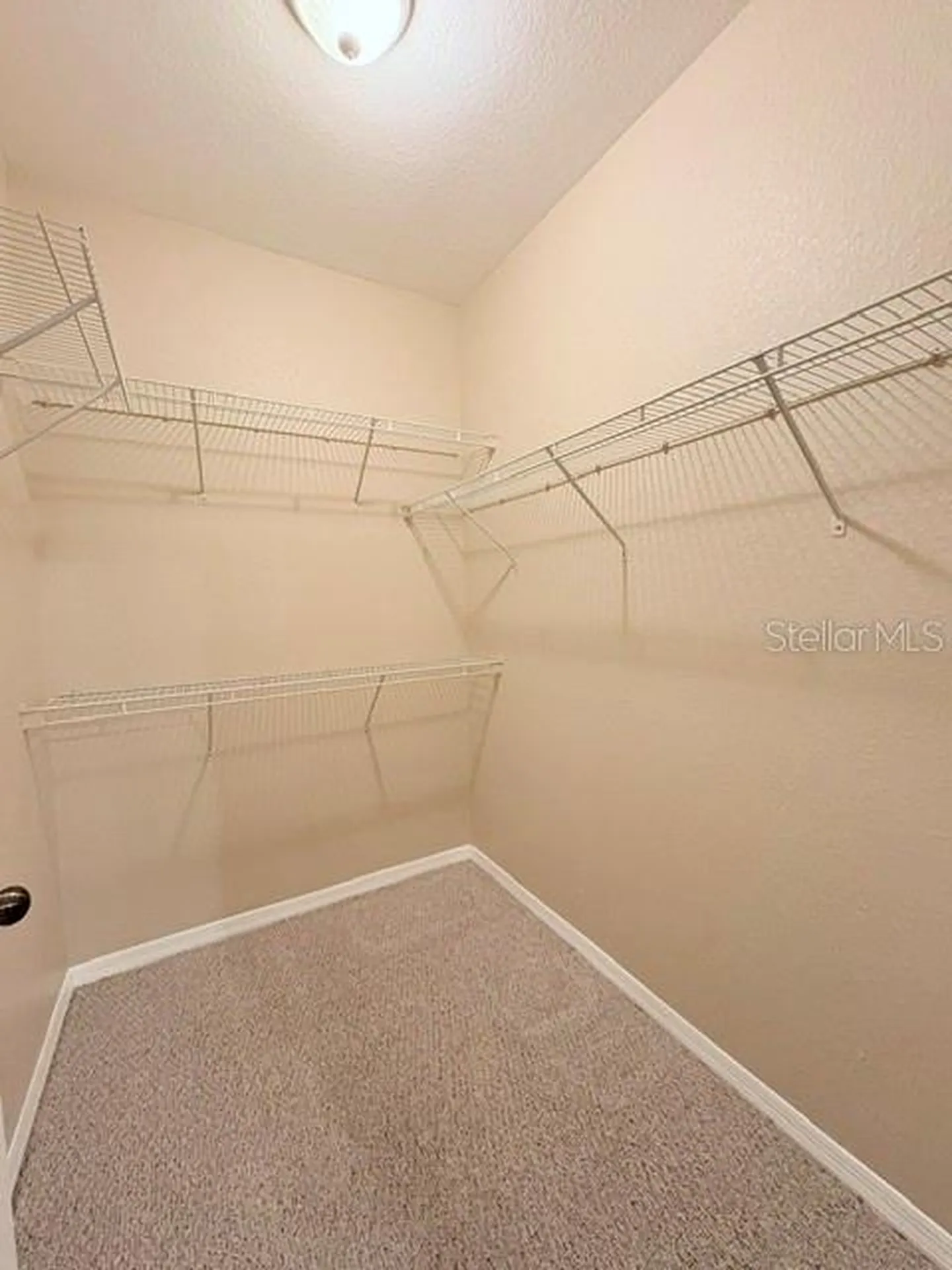 10213 Courtney Palms Boulevard Tampa FL 33619