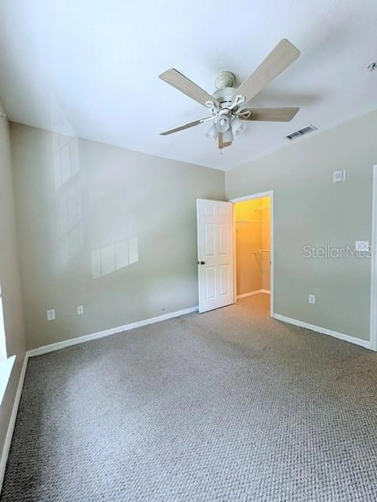 10213 Courtney Palms Boulevard Tampa FL 33619