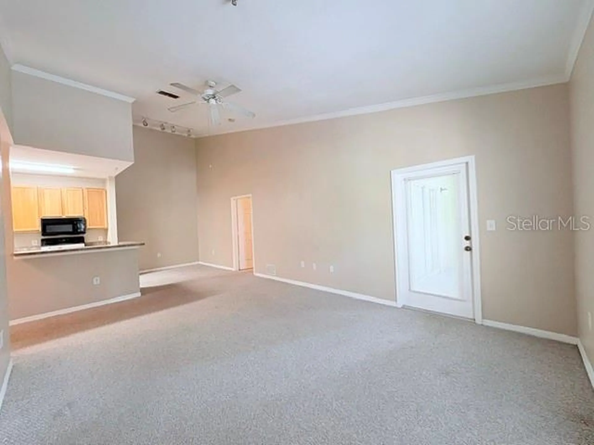 10213 Courtney Palms Boulevard Tampa FL 33619