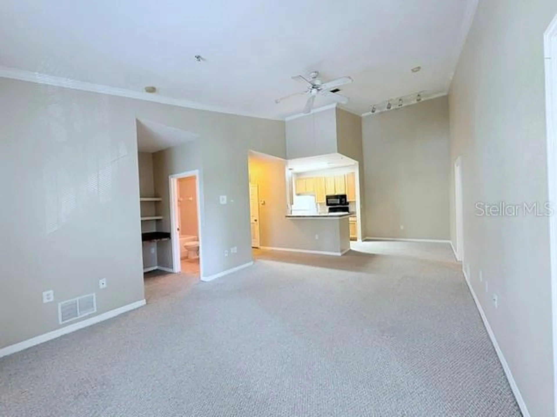 10213 Courtney Palms Boulevard Tampa FL 33619