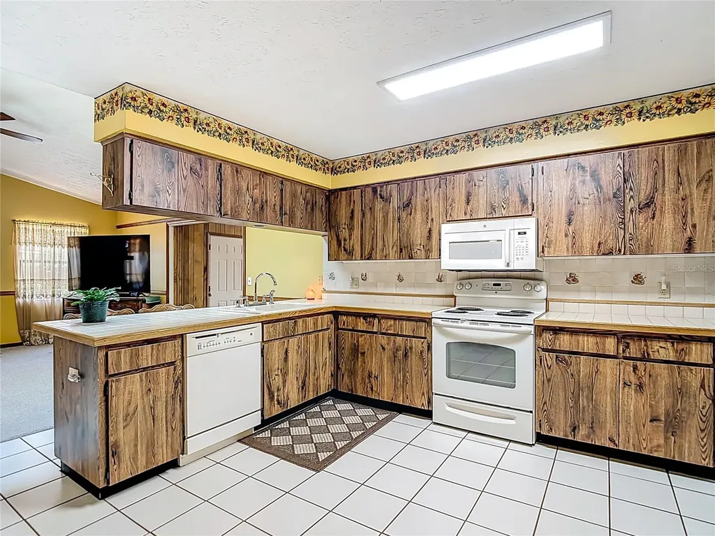1004 Mook Street Brandon FL 33510