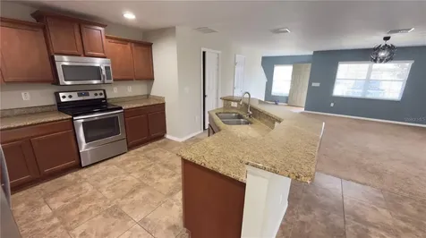 27507 Desert Willow Way Wesley Chapel FL 33544