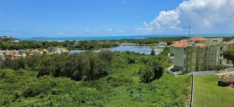 Ceiba PR 00735