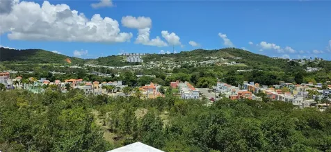 Ceiba PR 00735