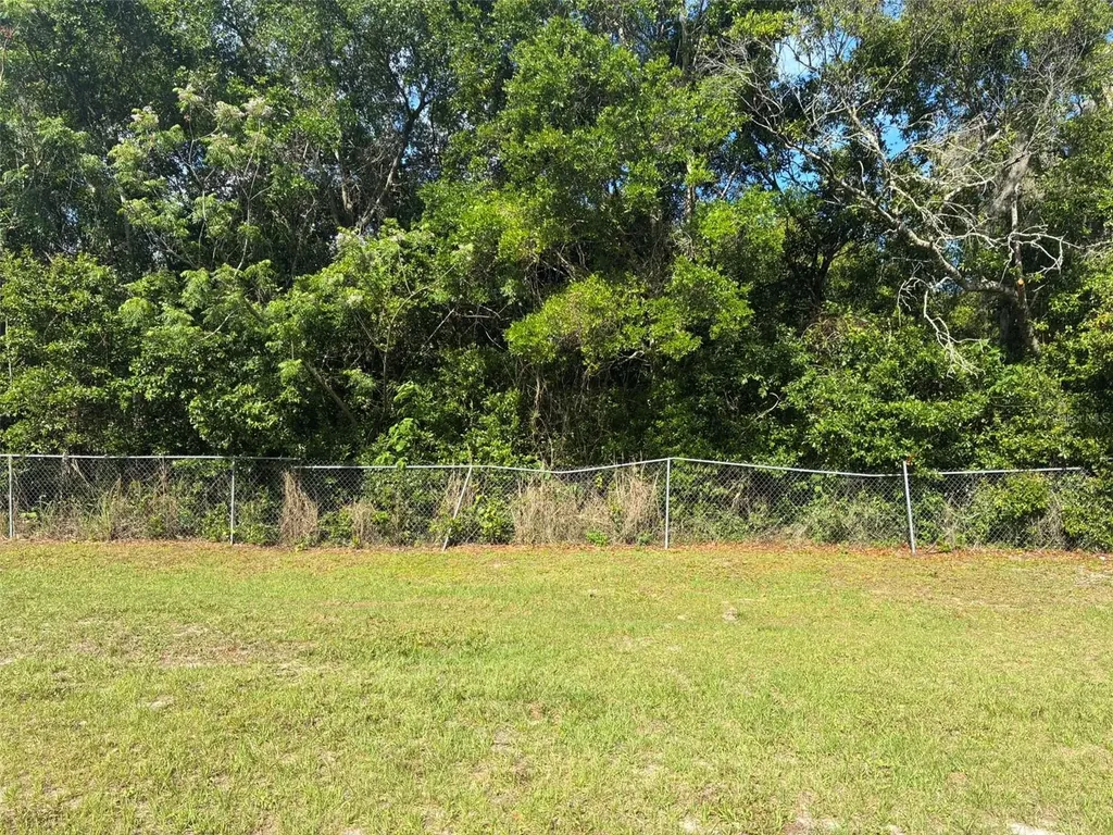 3752 N Orange Blossom Trail Mount Dora FL 32757