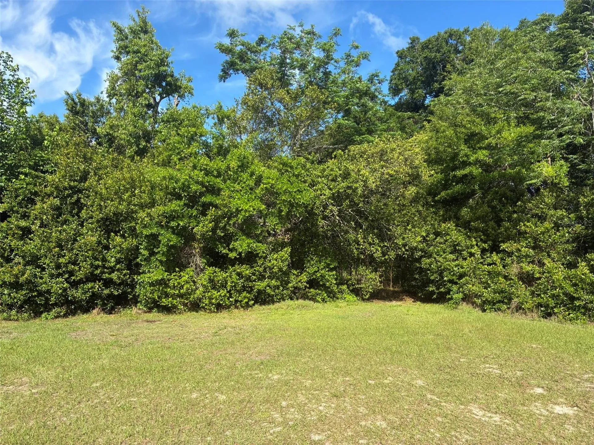 3752 N Orange Blossom Trail Mount Dora FL 32757