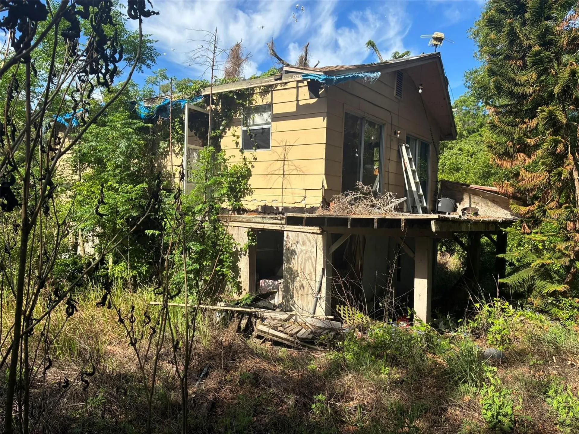 3752 N Orange Blossom Trail Mount Dora FL 32757