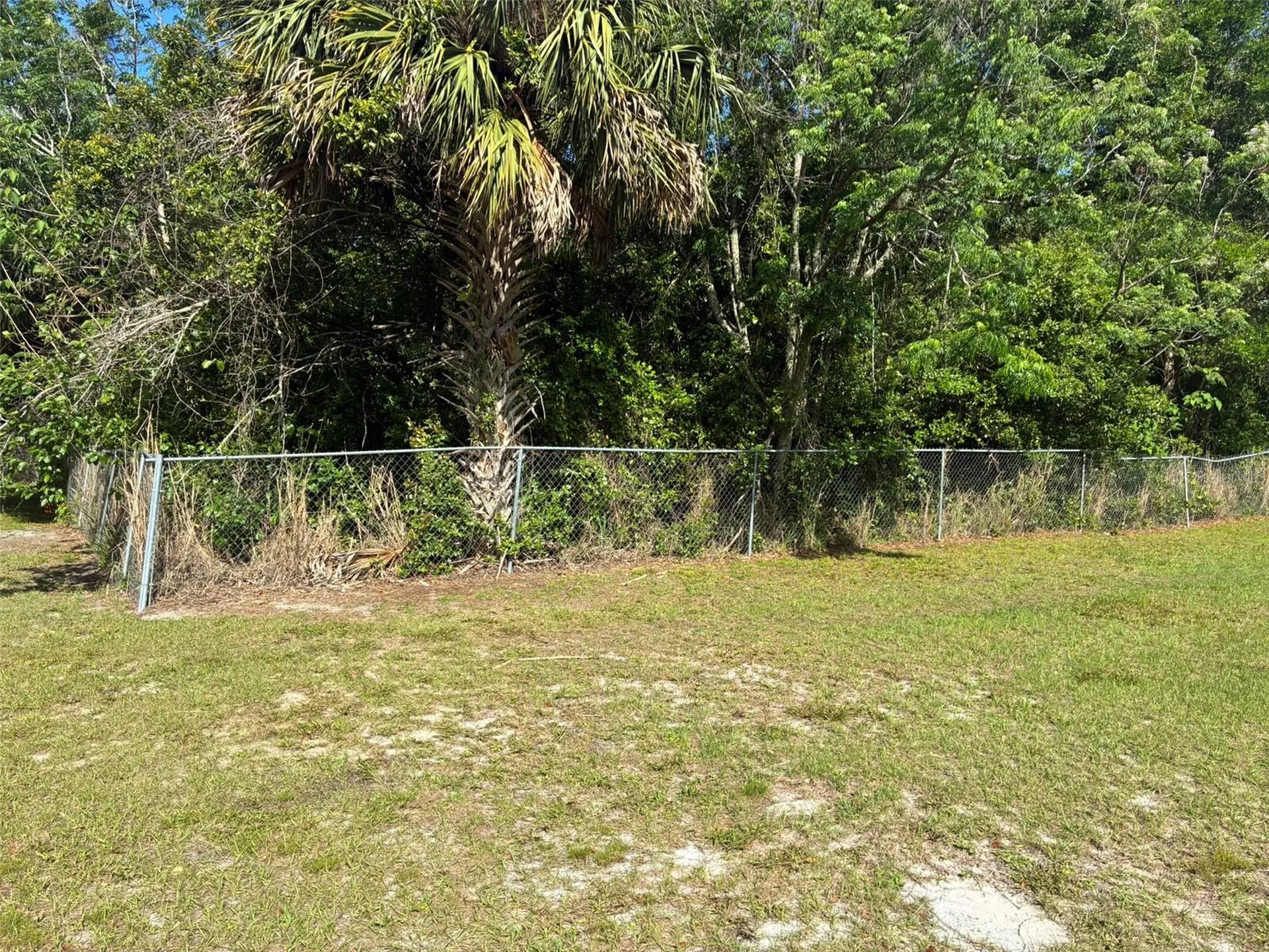 3752 N Orange Blossom Trail Mount Dora FL 32757