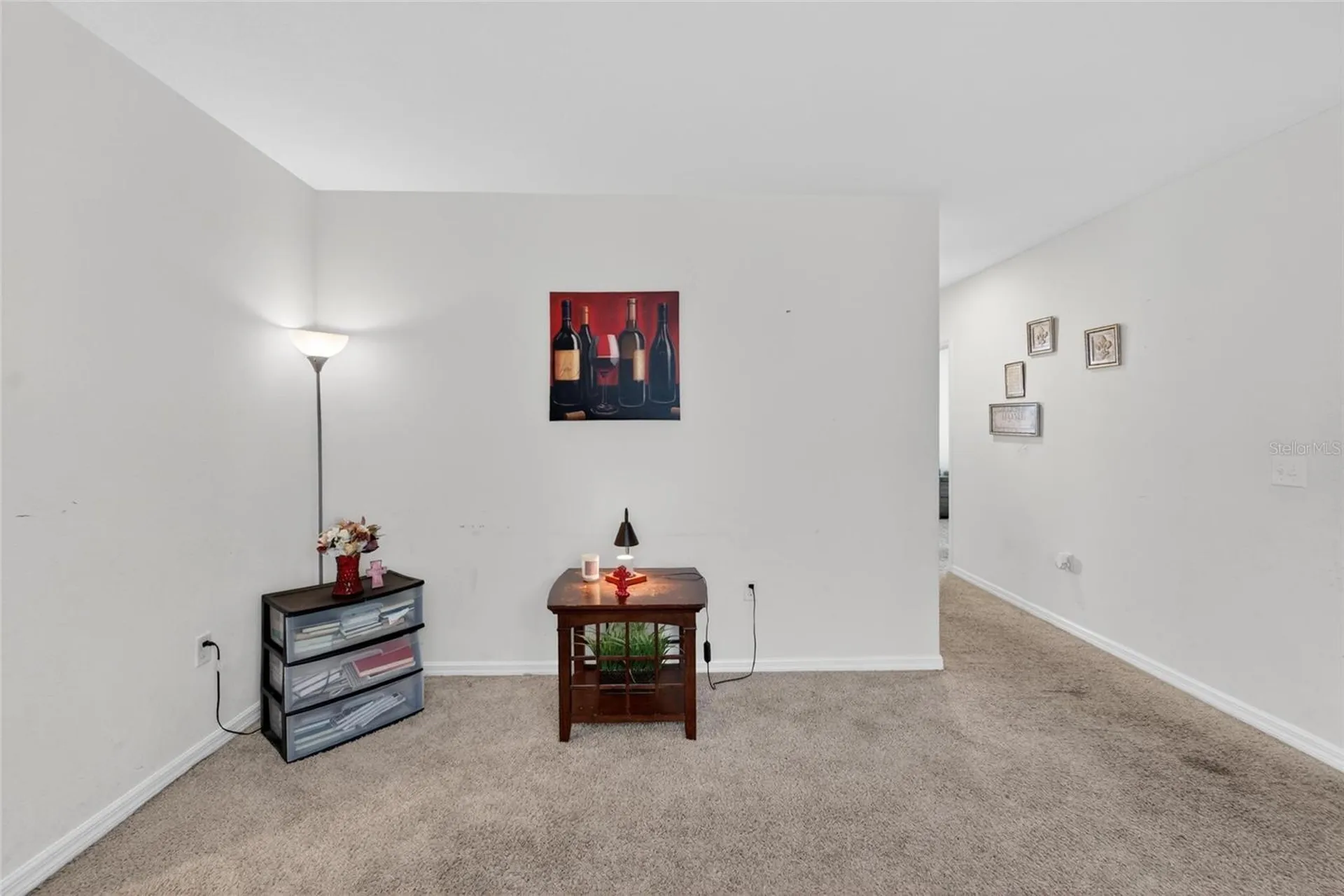 10232 Geese Trail Circle Sun City Center FL 33573