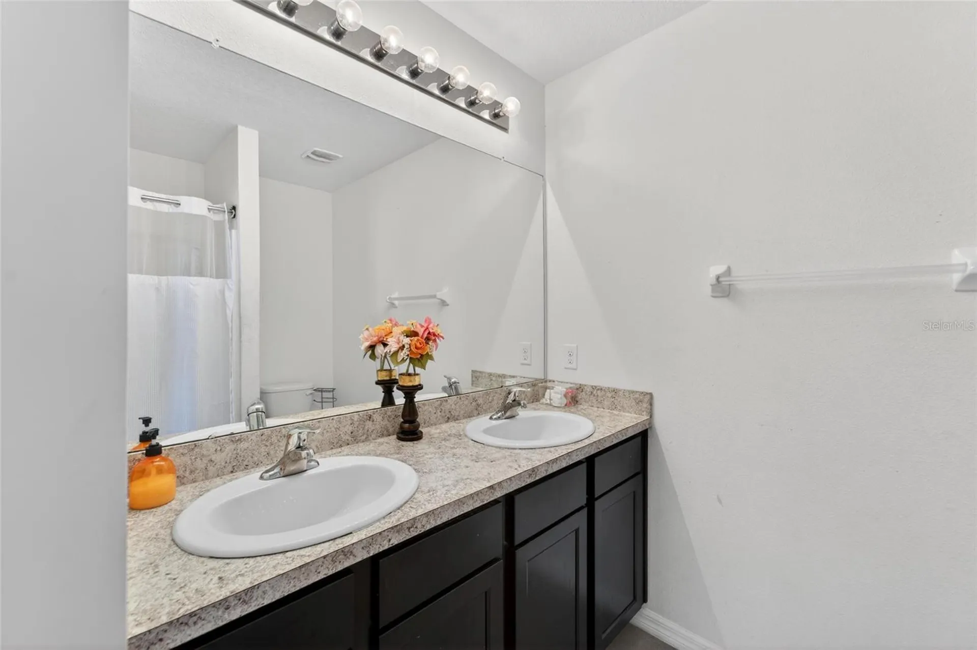 10232 Geese Trail Circle Sun City Center FL 33573