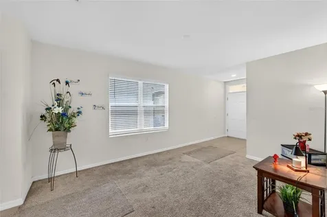 10232 Geese Trail Circle Sun City Center FL 33573