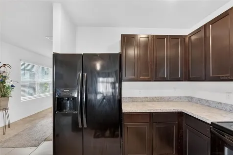 10232 Geese Trail Circle Sun City Center FL 33573