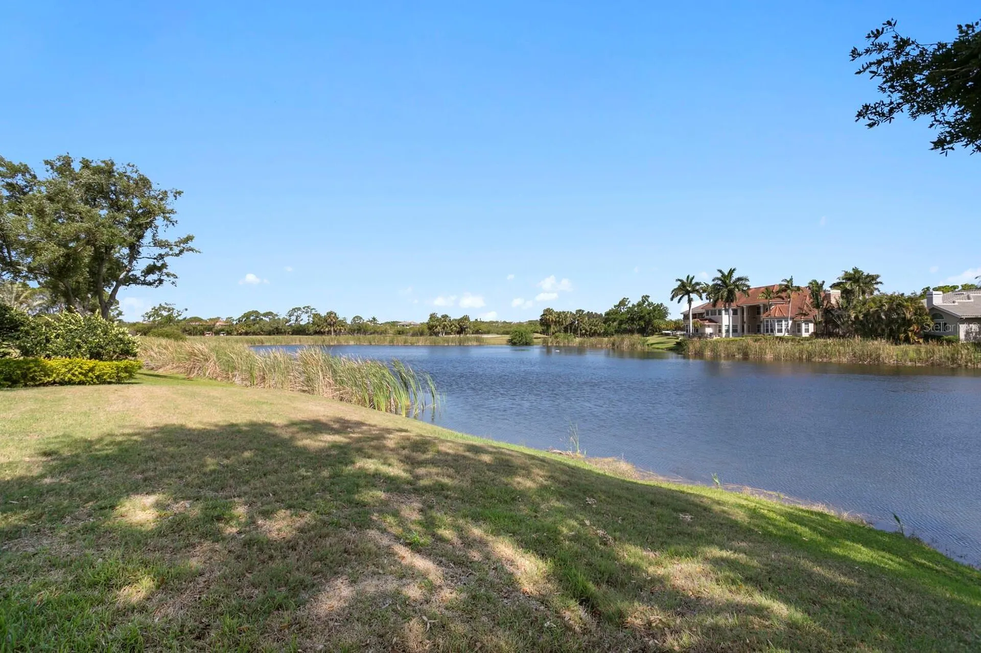 7361 Watersilk Drive Pinellas Park FL 33782