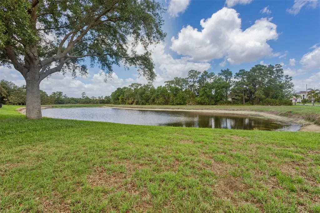 9103 Pinebreeze Drive Riverview FL 33578