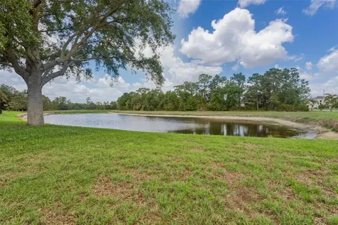 9103 Pinebreeze Drive Riverview FL 33578