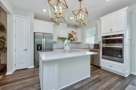 12908 Brookside Moss Drive Riverview FL 33579