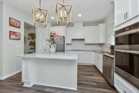 12908 Brookside Moss Drive Riverview FL 33579