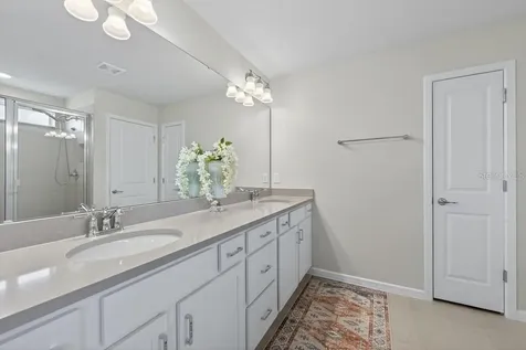 12908 Brookside Moss Drive Riverview FL 33579
